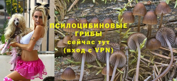 2c-b Аркадак